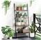 Industrial 4-Tier Ladder Shelf, Living Room Office Bookshelf, Multipurpose Storage Rack Shelves with Metal Frame, Plant Flower Stand (Rustic Brown)